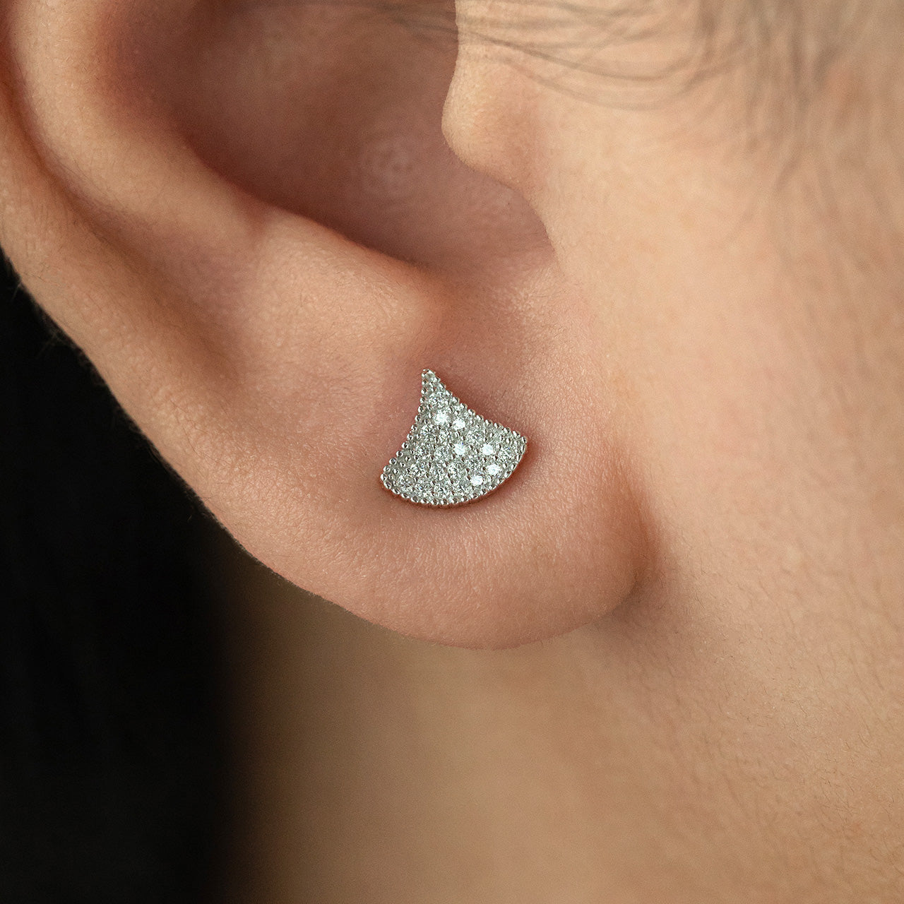 Mystic Arc Earring
